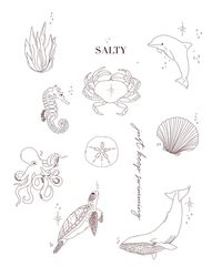 Wanted to draw a crab for cancer season (my season🦀) and it turned into a whole ocean flash — perfect for July 🌊🐙🐬🪸🐋🐚🌾 Message if interested in any one of these designs, please include what size and placement you’d be looking for and I can give a price based off size 🤍 (no ribs) **Addition shading to be done during tattoo** Looking forward to tattooing these! - - - - #finelinetattoo #flash #oceantattoo #ocean #flashtattoos #summer #july #cancerseason #cancer♋ #crab #sparkles