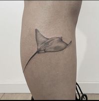 A new school of fish! Check out the 70 best ideas for a stingray tattoo in different styles and designs, from black and gray to Polynesian.