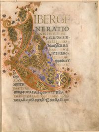 Gospel book f8 - Munich, Bayerische Staatsbibliothek Clm 22311 - St Gall, fine IX inizio X secolo