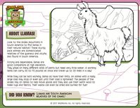 All About Llamas - Animal Jam Academy