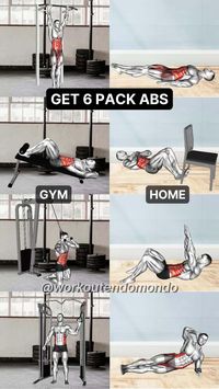 Achieve a toned, strong core with the best abs workout, perfect for home and gym. Discover exercises that deliver results fast.