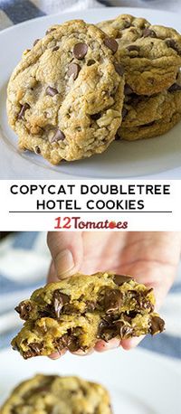 Copycat DoubleTree Hotel Chocolate Chip Cookies | 12 Tomatoes