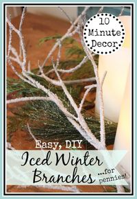 DIY Iced Winter Branches - The Everyday Home