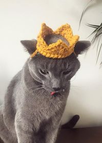 Crochet pattern 059 Crown for Cat Crown for Small Dog Pet | Etsy