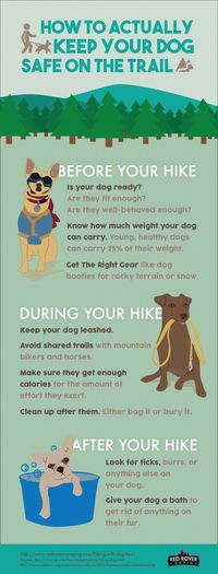 How To Actually Keep Your Dog Safe On The Trail