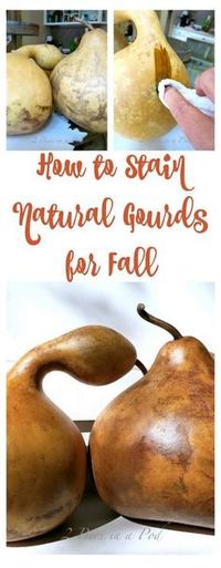 How to Stain Natural Gourds for Fall... - 2 Bees in a Pod