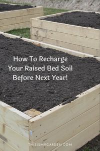 The spring, summer, and early fall growing season takes a big toll on the soil in raised beds! It takes nutrients to power crops, and as crops grow, they quickly deplete the limited resources available within the ground! Find out how to recharge raised bed garden soil this Fall!