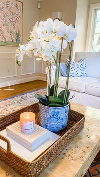 Meredith Hudkins on Instagram: "Comment ORCHID below and I’ll DM you a link to the orchid and planter! Literally the best faux orchid I’ve ever seen. Save so you have this resource for later! Linked in my LTK: https://liketk.it/3Rjxp"