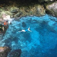 Top 8 Most Awesome Attractions in Negril, Jamaica | Things to do in Jamaica