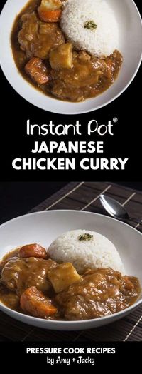 Easy Instant Pot Japanese Chicken Curry | Tested by Amy   Jacky