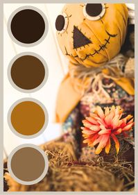 Here is a color palette to help you decide on your Fall decoration colors. | Wedding color schemes | Wedding theme | Wedding theme ideas | Wedding colors | Wedding color inspiration | Wedding color ideas | Fall wedding color ideas | Fall wedding color palette ideas | Halloween Party Colors