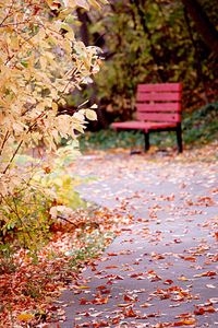 Fall in Logan, Utah.