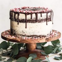 Peppermint Chocolate Cake | Handle the Heat