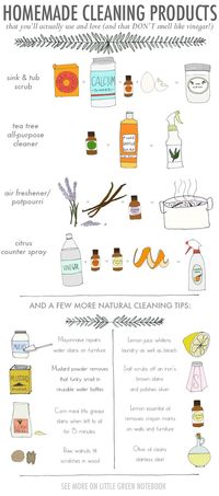 Ever wanted to make your own cleaning products? #plasticfree #zerowaste #zerowastetips #plasticfreetips