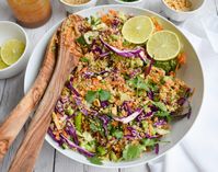 Low-FODMAP Crunchy Thai Peanut Salad; Gluten-free, Vegan | Dr. Rachel Pauls