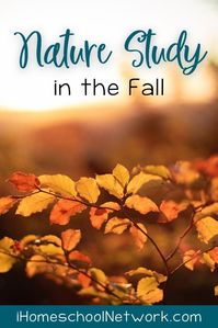 Nature Study in the Fall for Homeschoolers • iHomeschool Network