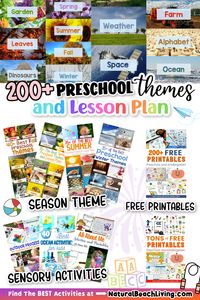 200+ of the Best Preschool Themes and Lesson Plans