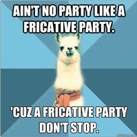 Ain't no party like a fricative party, 'cuz a fricative party don't stop. linguistricks.