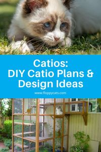 If you feel that your cat needs to spend time outdoors just as much as you do, then you might consider a catio, which is a great solution for those on the fence (and even those that have indoor-only cats). Even house cats love to lounge in the sun and feel the breeze of the chill wind through their fur. If you're ready for your cat to enjoy the beautiful sun with you in a safe and secure way this is your starting point for their very own catio. #catio #DIY #DIYproject #animallovers #petcare