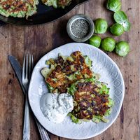 These crispy Brussels sprout fritters are crispy on the outside, tender on the inside, and bursting with the rich flavors of cheddar cheese, garlic, and thyme. I’ve always loved Brussels sprouts, but I know they can be a bit polarizing for some people. This recipe is a game-changer for skeptics and a revelation for fans.... Read More Brussels Sprout Fritters © Veggie Desserts.