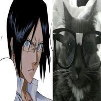 #bleach