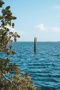 Biscayne National Park: Camping, Tours, And Everything Else You Need To Know