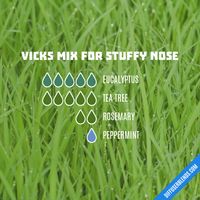 Vicks Mix for Stuffy Nose - Essential Oil Diffuser Blend