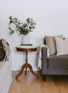 a living room with a couch, table and potted plant on the end table