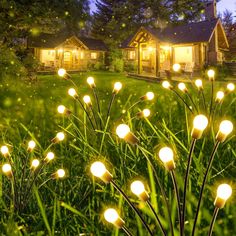 some lights that are in the grass by a house at night with fireflies flying around