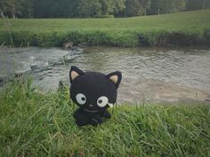 a black cat stuffed animal sitting in the grass next to a river