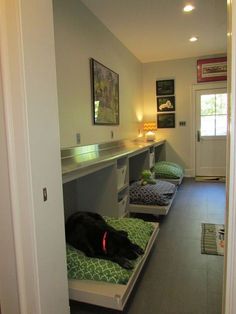 a black dog laying on top of a bed in a room next to a doorway