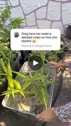 a woman holding a container full of plants with the caption saying, omg have her make a detailed video on how she's repping it