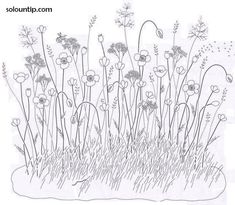 a line drawing of flowers in the grass