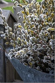 a bucket filled with lots of flowers next to a wooden fence