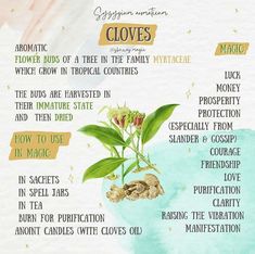 a poster with instructions on how to use cloves in your garden or home