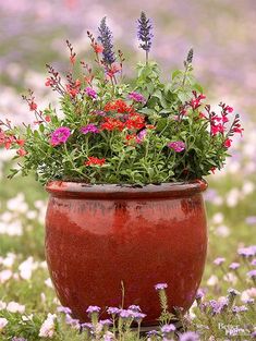 a red pot filled with lots of flowers on top of a grass covered field next to purple and white flowers