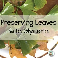 leaves on a plate with the words preserver leaves with glycerin over them