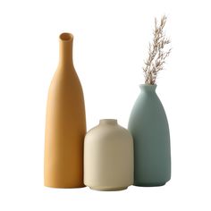 three different colored vases sitting next to each other on a white surface, one has a plant in it