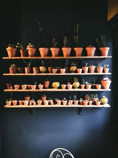 many potted plants are arranged on the shelves in front of a wall mounted shelf