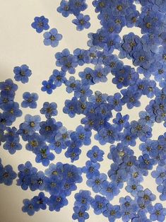 blue flowers floating in the air on top of a white surface with brown dots and gold centers