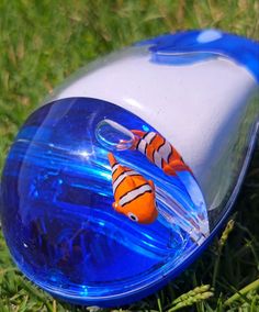 an orange and white clown fish in a blue plastic container on the ground with grass