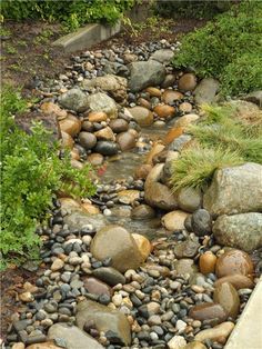 a small stream running through a garden filled with rocks