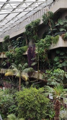 the inside of a building with lots of trees and plants