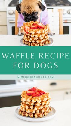 a pug dog sitting on top of a stack of waffles with the words waffle recipe for dogs