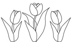 three tulips are shown in black and white, with one flower on the left side