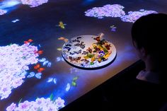 a child is looking at an interactive video screen with flowers and butterflies projected on it