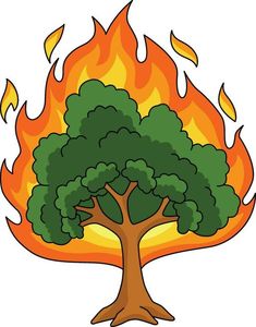 an image of a tree on fire