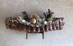 an arrangement of pine cones, acorns and shells on a wooden stand against a white wall