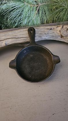 an old cast iron skillet sitting on top of a table next to a pine tree