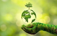 a hand holding a green earth with trees on it